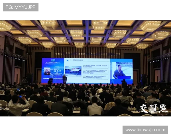 杭州极限运动队区域防守创新之路探秘与实践分析